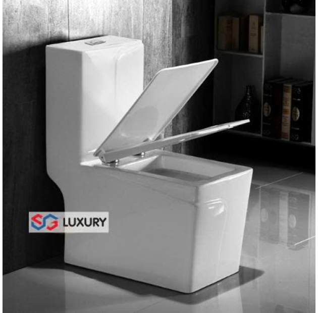 Bồn Cầu Một Khối Kiểu Dáng Vuông 